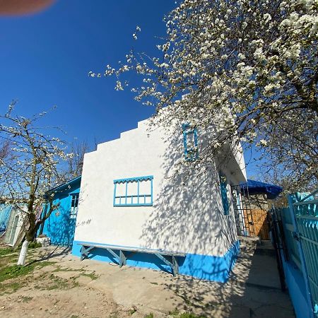فيلا Casa Bunicilor Granny'S House جوريلوفكا المظهر الخارجي الصورة