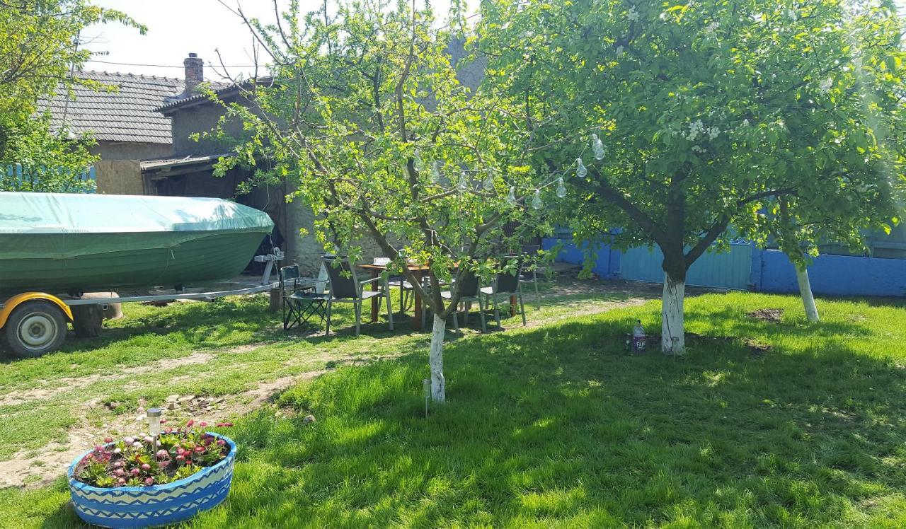 فيلا Casa Bunicilor Granny'S House جوريلوفكا المظهر الخارجي الصورة