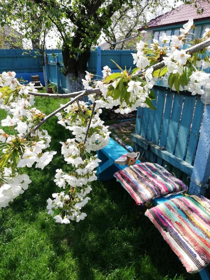 فيلا Casa Bunicilor Granny'S House جوريلوفكا المظهر الخارجي الصورة