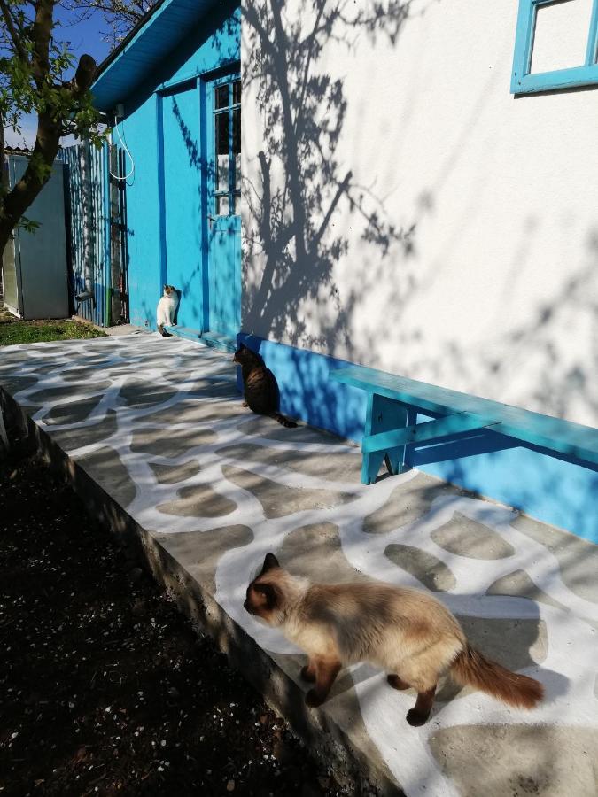 فيلا Casa Bunicilor Granny'S House جوريلوفكا المظهر الخارجي الصورة