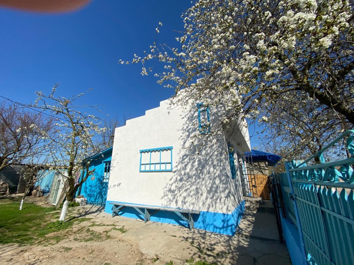 فيلا Casa Bunicilor Granny'S House جوريلوفكا المظهر الخارجي الصورة