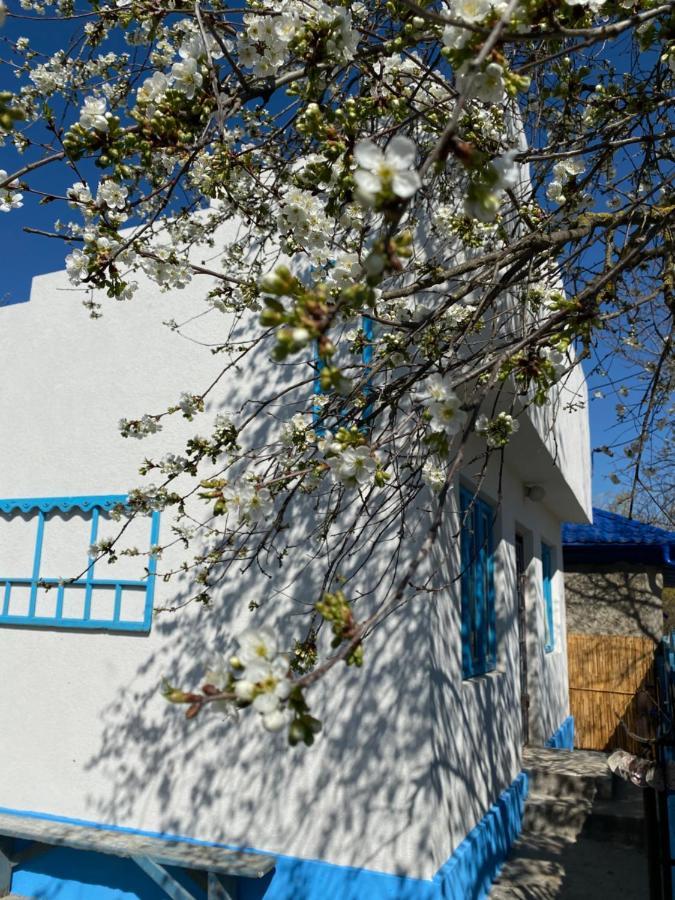 فيلا Casa Bunicilor Granny'S House جوريلوفكا المظهر الخارجي الصورة