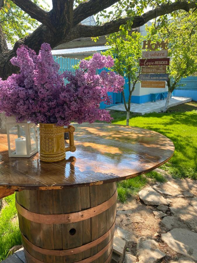 فيلا Casa Bunicilor Granny'S House جوريلوفكا المظهر الخارجي الصورة
