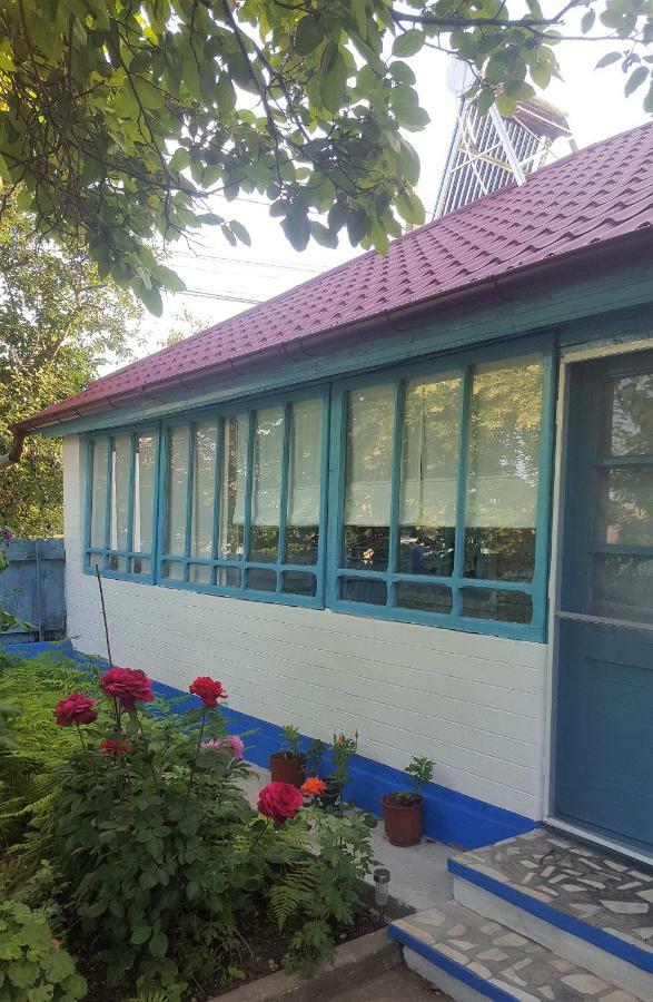 فيلا Casa Bunicilor Granny'S House جوريلوفكا المظهر الخارجي الصورة